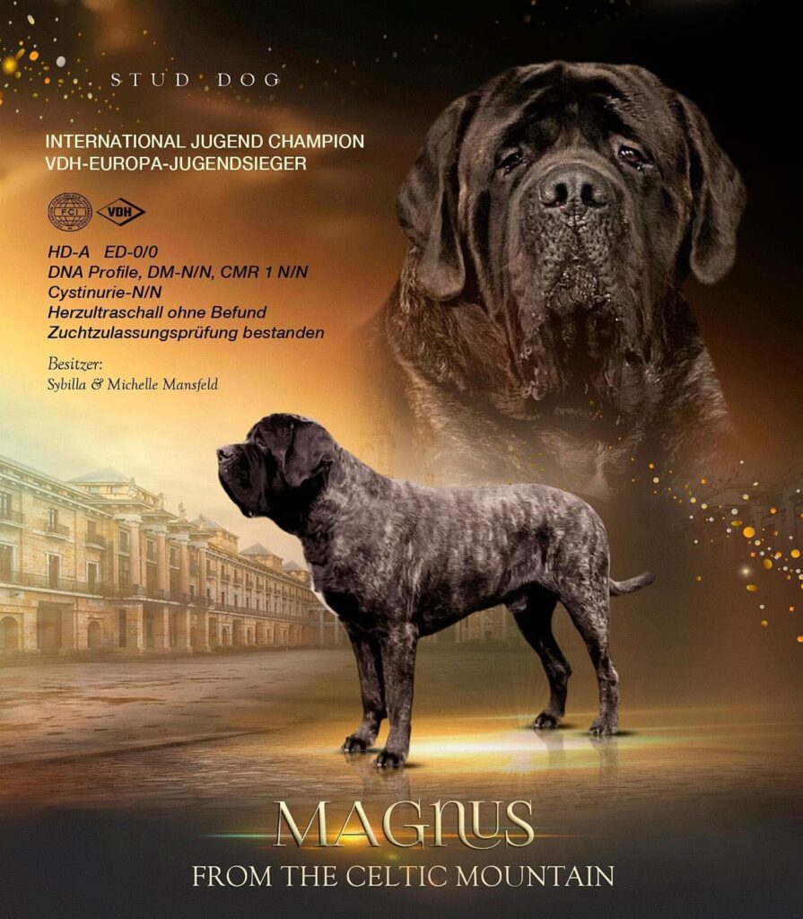 Magnus from the Celtic Mountain