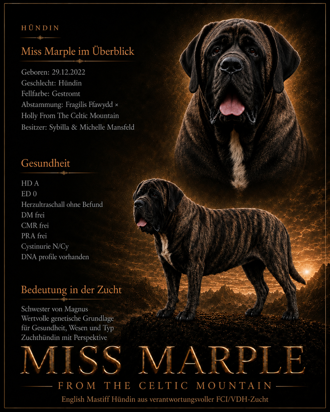 Profilgrafik der gestromten English Mastiff Hündin Miss Marple from the Celtic Mountain mit Gesundheits- und Zuchtdaten