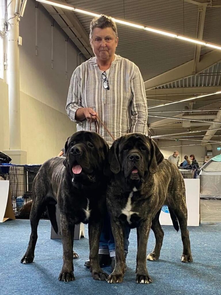 Miss Marple und Magnus from the Celtic Mountain mit ihrer Züchterin auf der Hundeausstellung in Dortmund 2024