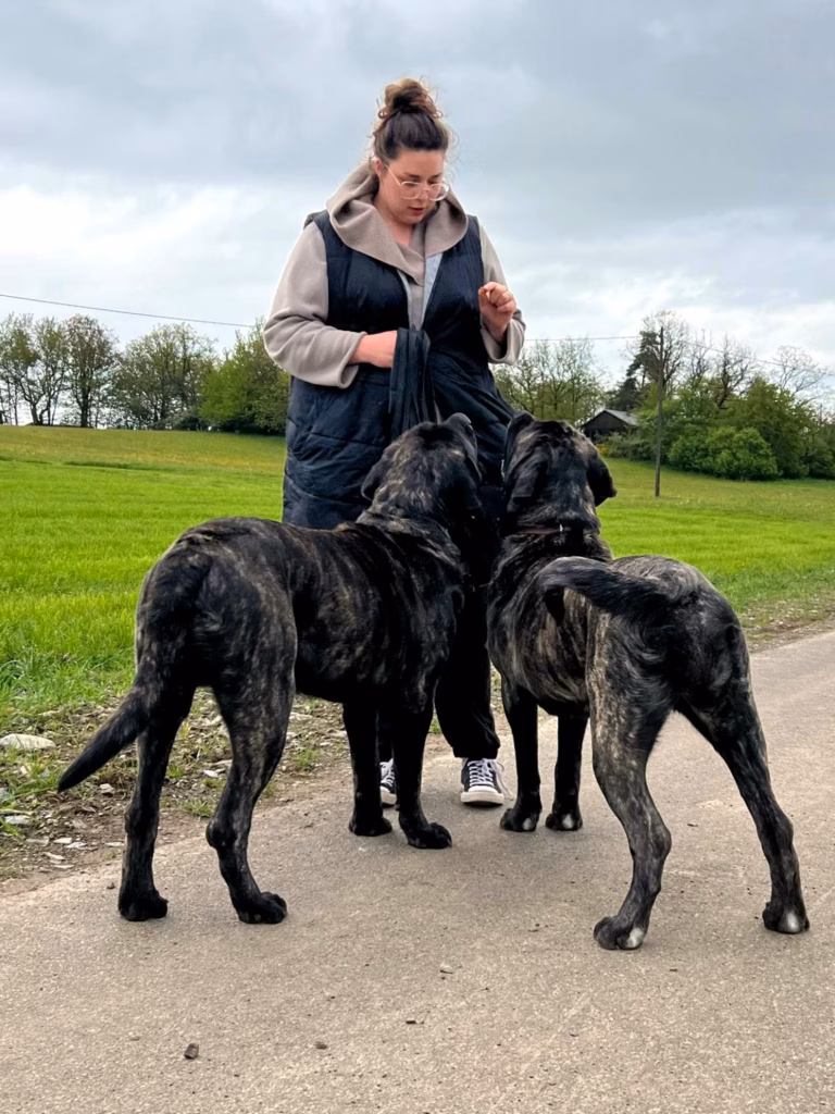 Michelle mit Miss Marple und Magnus auf einem Feldweg