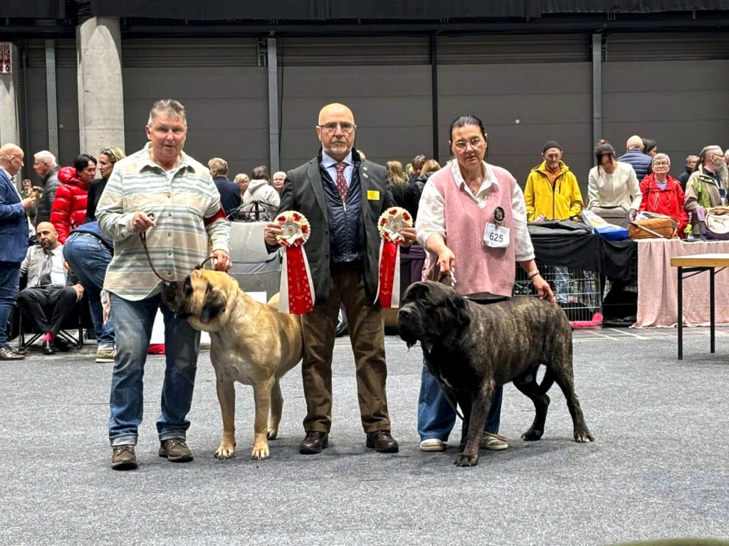 Greta from Gawy und Magnus from the Celtic Mountain mit Richter nach ihren BOB- und BOS-Erfolgen in Offenburg 2026