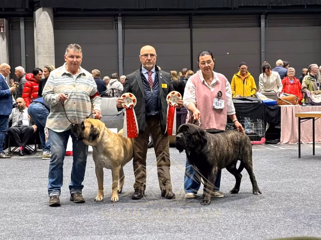 Greta from Gawy und Magnus from the Celtic Mountain mit Richter nach ihren BOB- und BOS-Erfolgen in Offenburg 2026