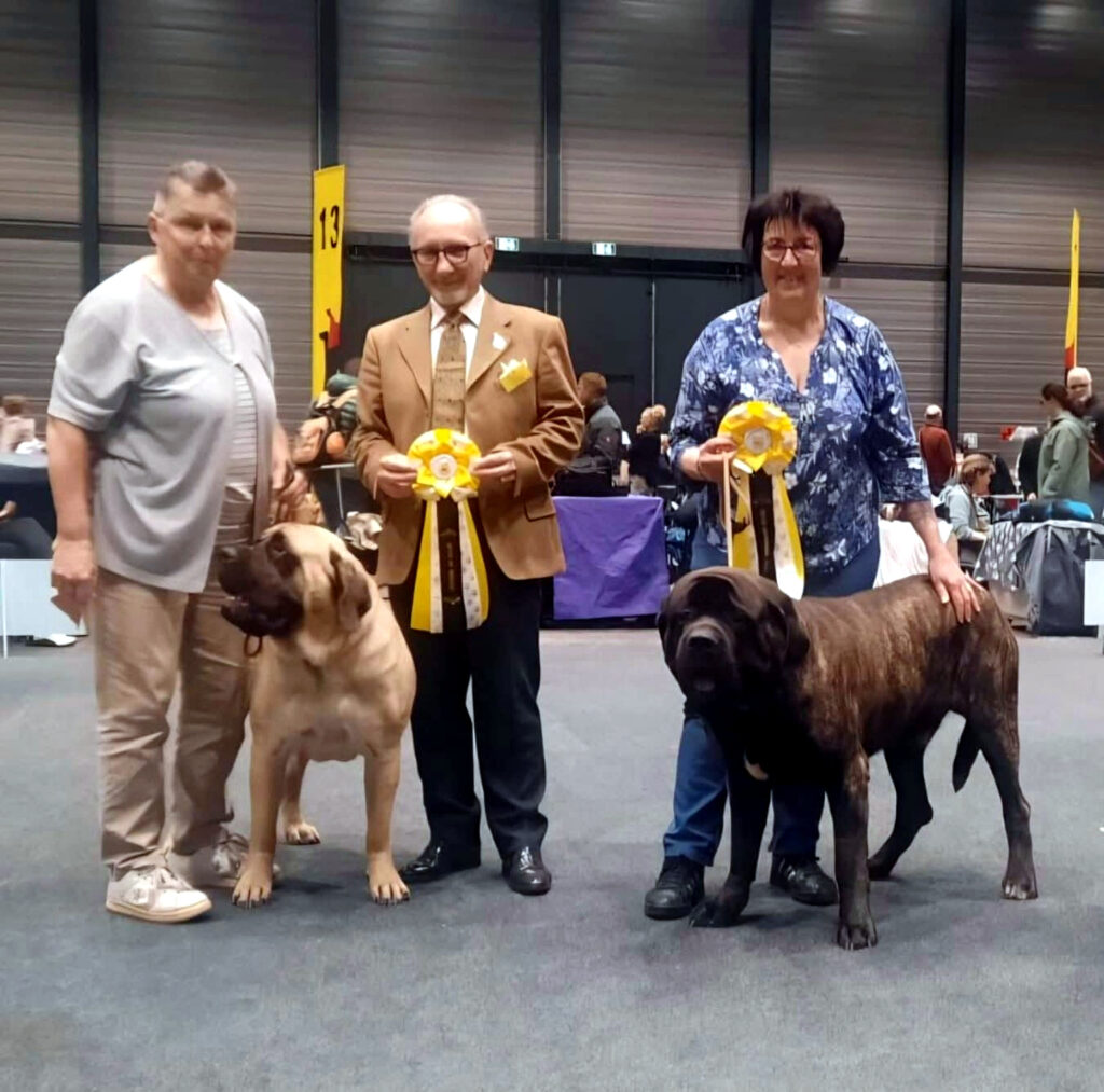 Greta from Gawy und Magnus from the Celtic Mountain mit Richter und Auszeichnungen am Sonntag in Offenburg 2026