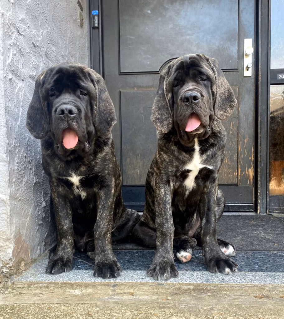 Miss Marple und Magnus sitzen gemeinsam vor der Haustür.