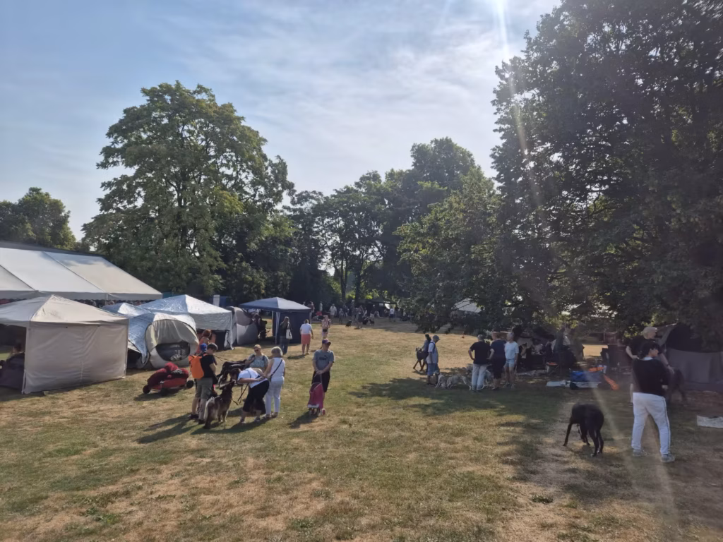 Ludwigshafen dog show grounds in 2026 with tents, visitors and dogs