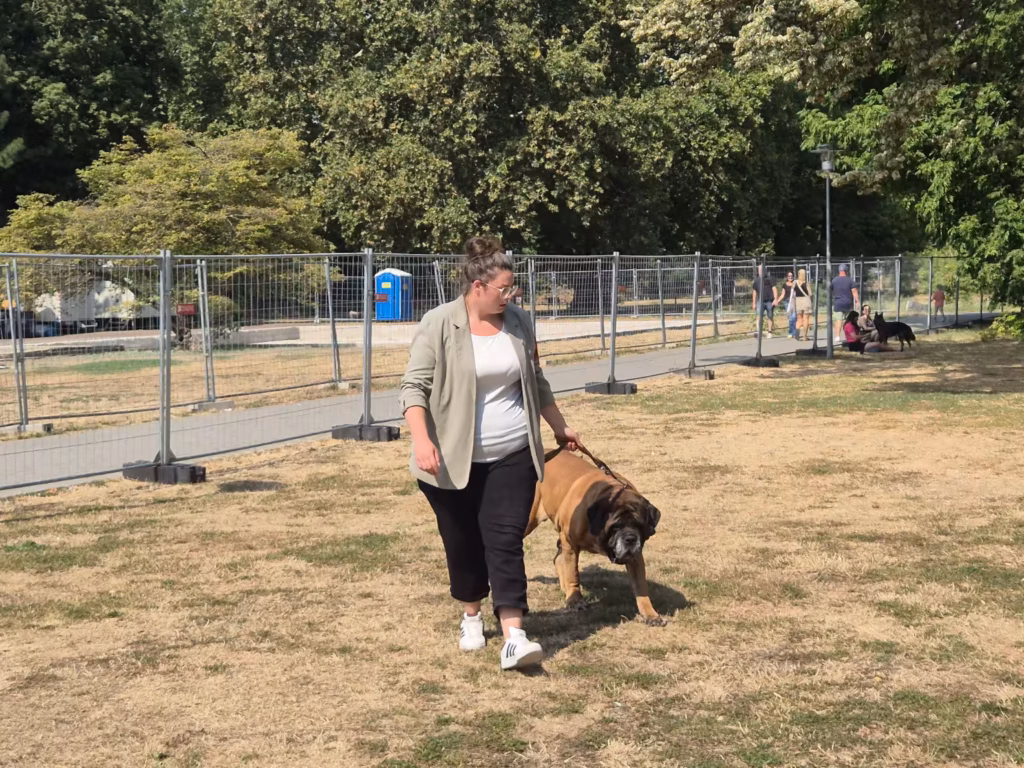 Michelle mit English Mastiff Ingo auf dem Ausstellungsgelände in Ludwigshafen 2026