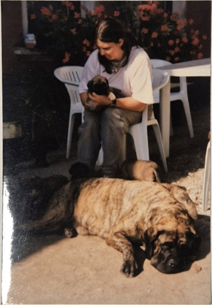 Historic photograph of Sybilla with several Mastiff puppies and an adult brindle Mastiff