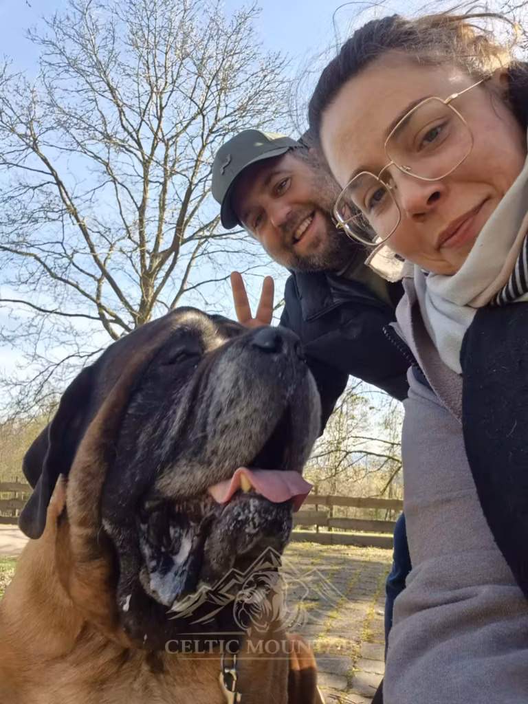 Erinnerungsfoto vom Ausflug mit English Mastiff Ingo im Wildpark Weiskirchen.