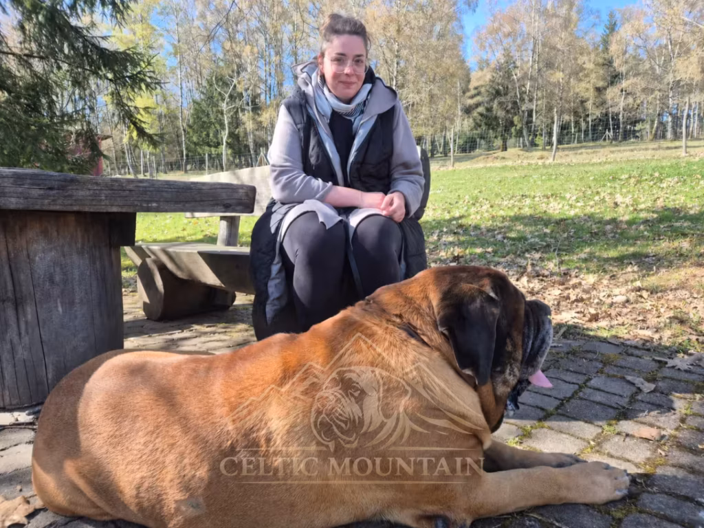 Michelle sitzt mit dem apricotfarbenen English Mastiff Ingo im Wildpark Weiskirchen.