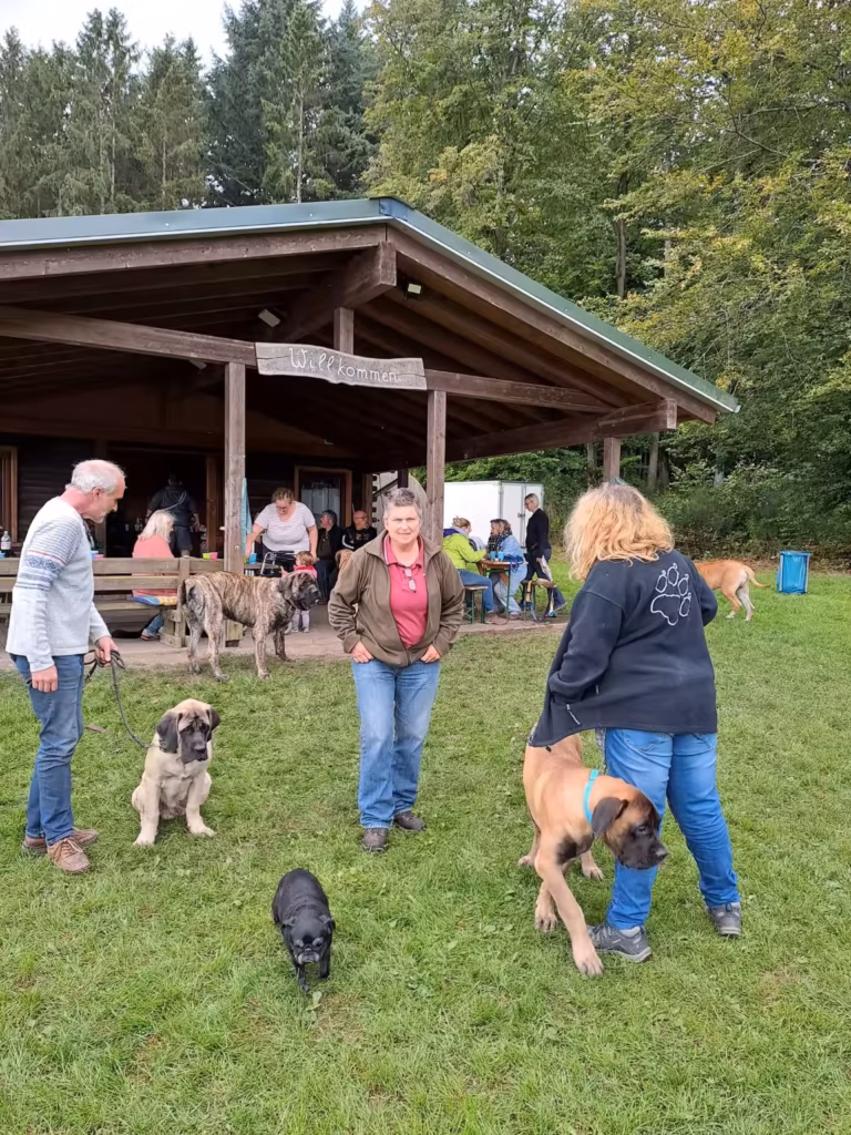 Menschen, English Mastiffs und ein Mops vor der Grillhütte beim familiären Treffen in Rascheid.