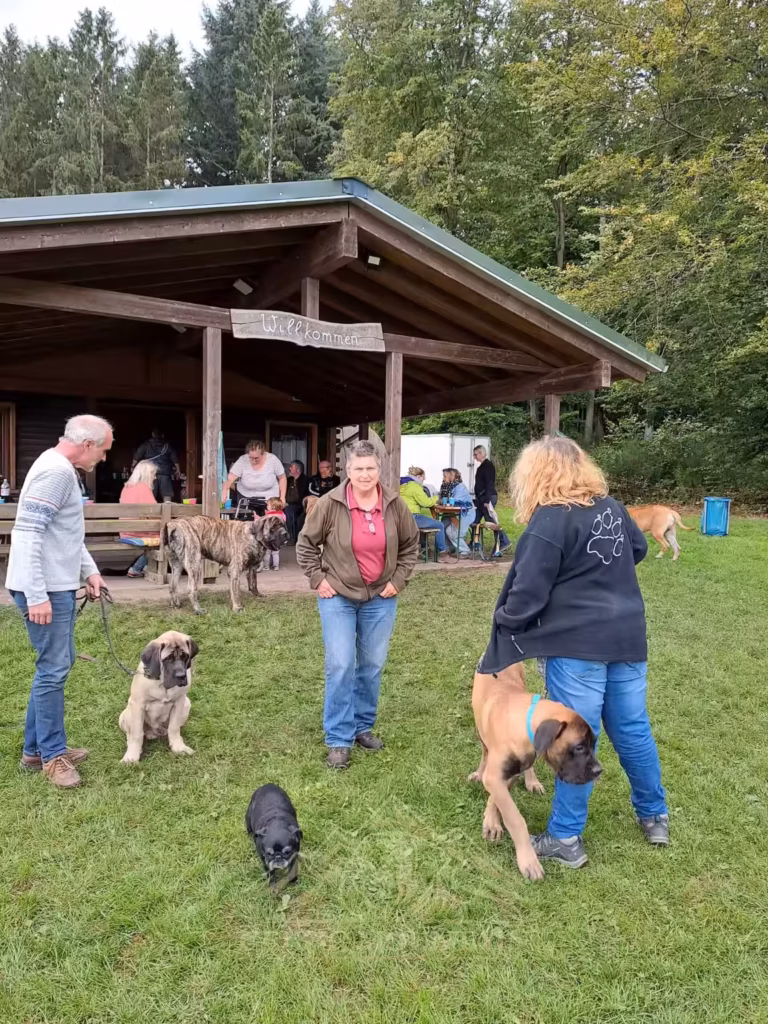 Menschen, English Mastiffs und ein Mops vor der Grillhütte beim familiären Treffen in Rascheid.