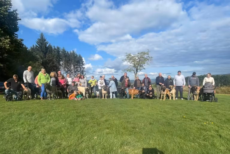 Notre première rencontre Mastiff et Carlin en 2023 – une journée entre amis