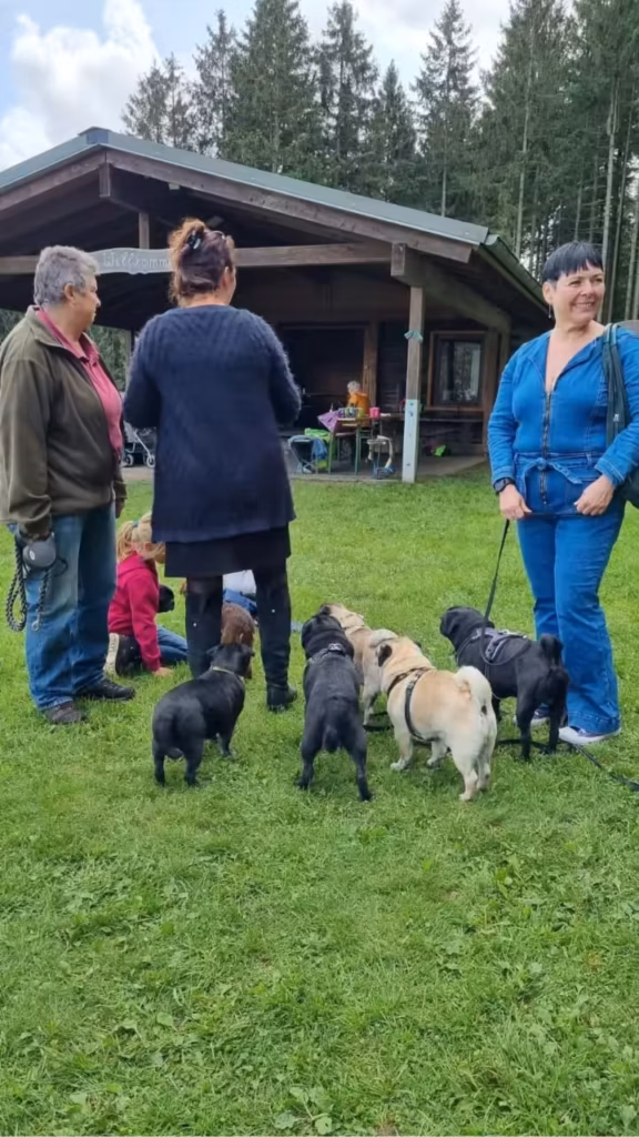 Kinder, Gäste, Möpse und English Mastiffs kommen vor der Grillhütte in Rascheid zusammen.