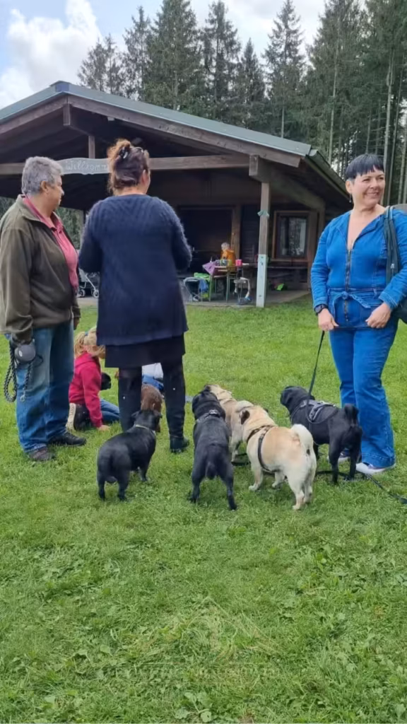 Kinder, Gäste, Möpse und English Mastiffs kommen vor der Grillhütte in Rascheid zusammen.