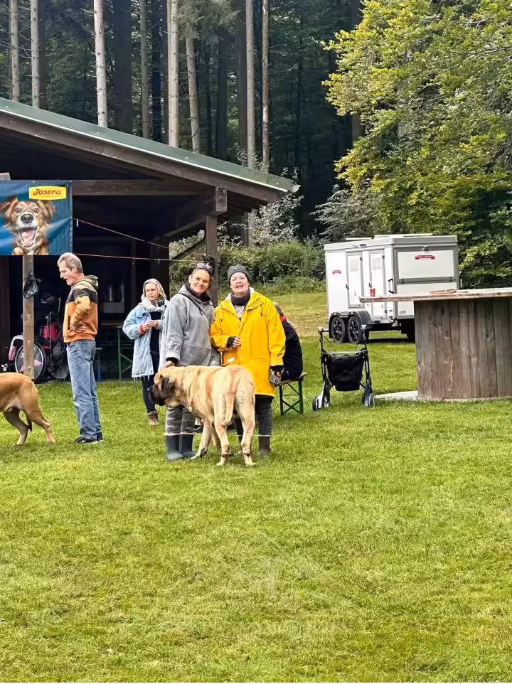 Mehrere Gäste stehen mit ihren English Mastiffs vor der Grillhütte beim Treffen 2024 in Rascheid.
