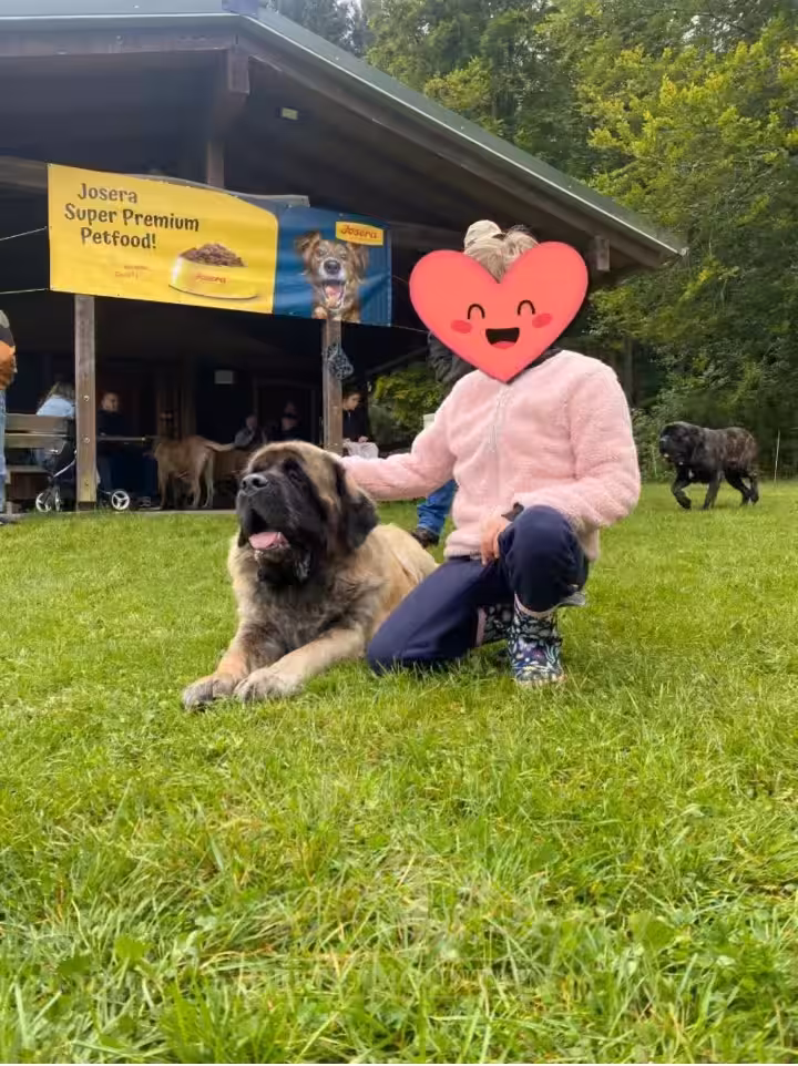 Ein Gast sitzt mit einem gestromten English Mastiff vor der Grillhütte beim Treffen 2024.