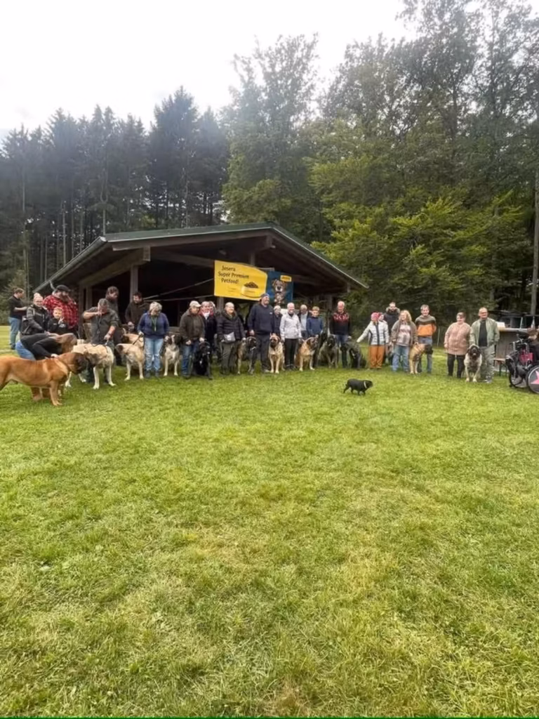 Gäste mit ihren English Mastiffs und Möpsen vor der Grillhütte beim Mastiff- und Mops-Treffen 2024 in Rascheid.