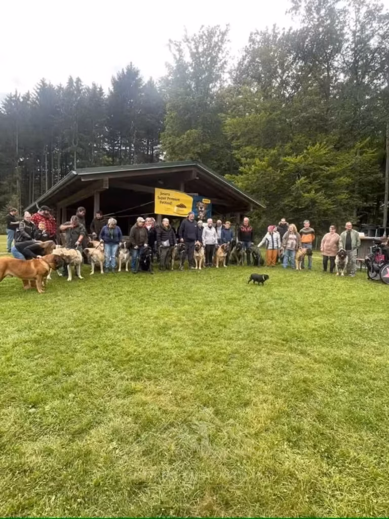Gäste mit ihren English Mastiffs und Möpsen vor der Grillhütte beim Mastiff- und Mops-Treffen 2024 in Rascheid.