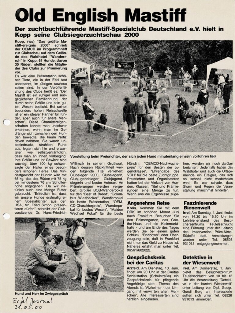 Historic newspaper article about the Old English Mastiff club show in 2000