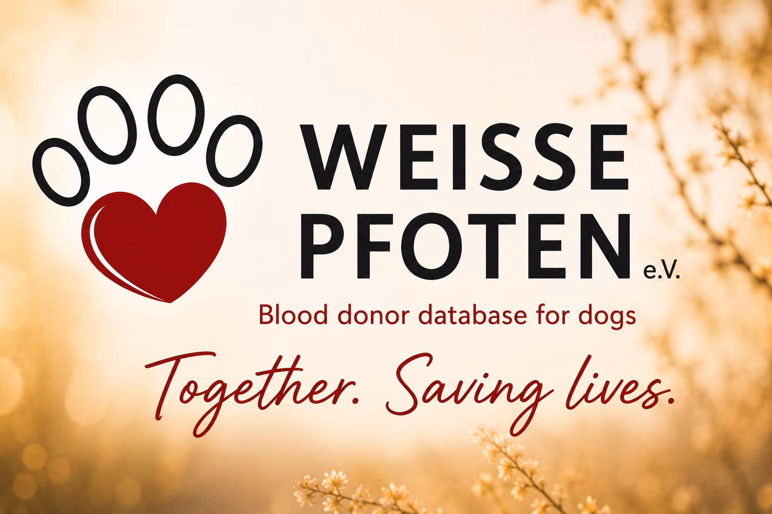 Weisse Pfoten e.V. logo with the message “Blood donor database for dogs – Together. Saving lives.”