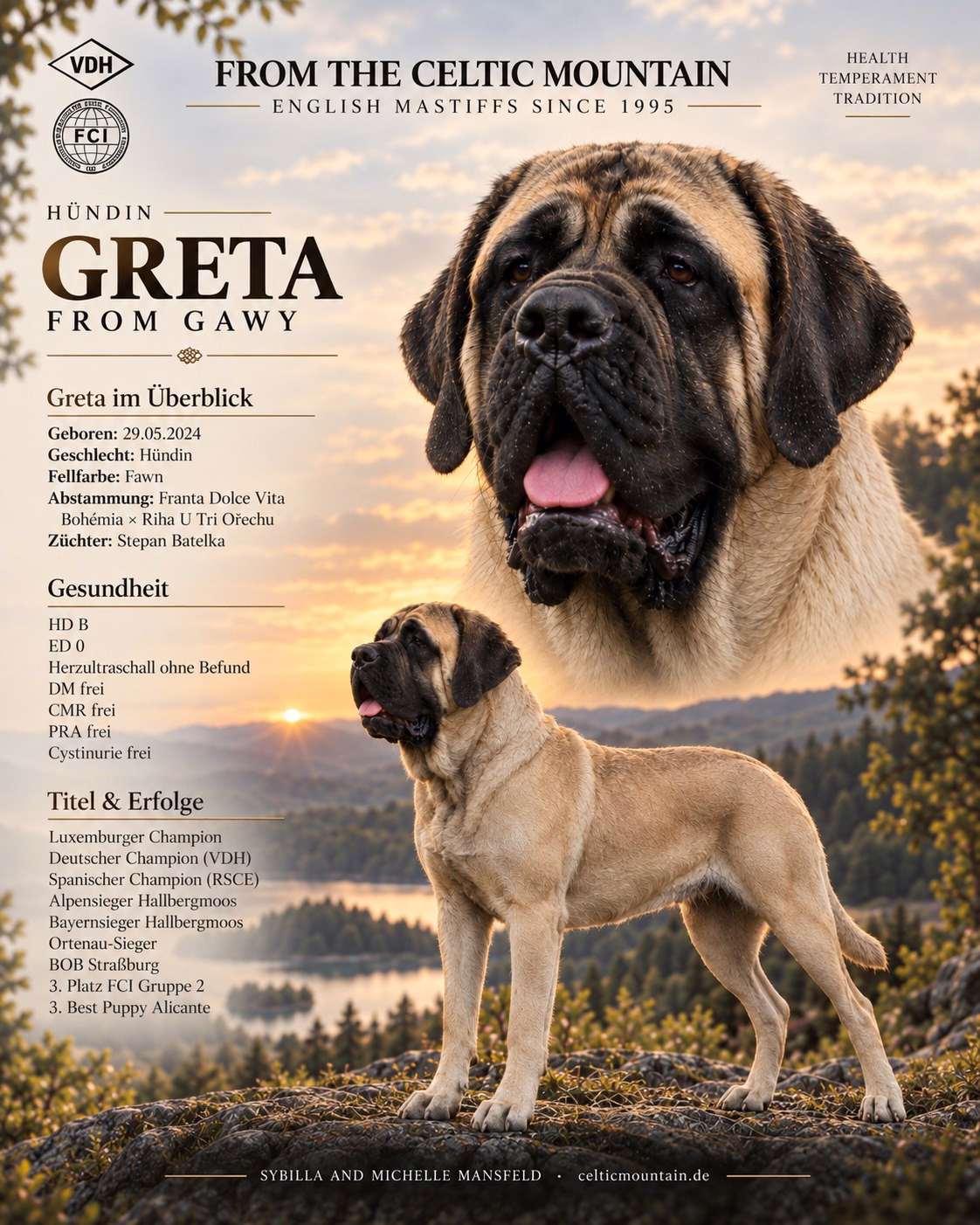 Greta from Gawy – fawnfarbene English Mastiff Hündin von From the Celtic Mountain mit Gesundheitsdaten, Abstammung und Championtiteln