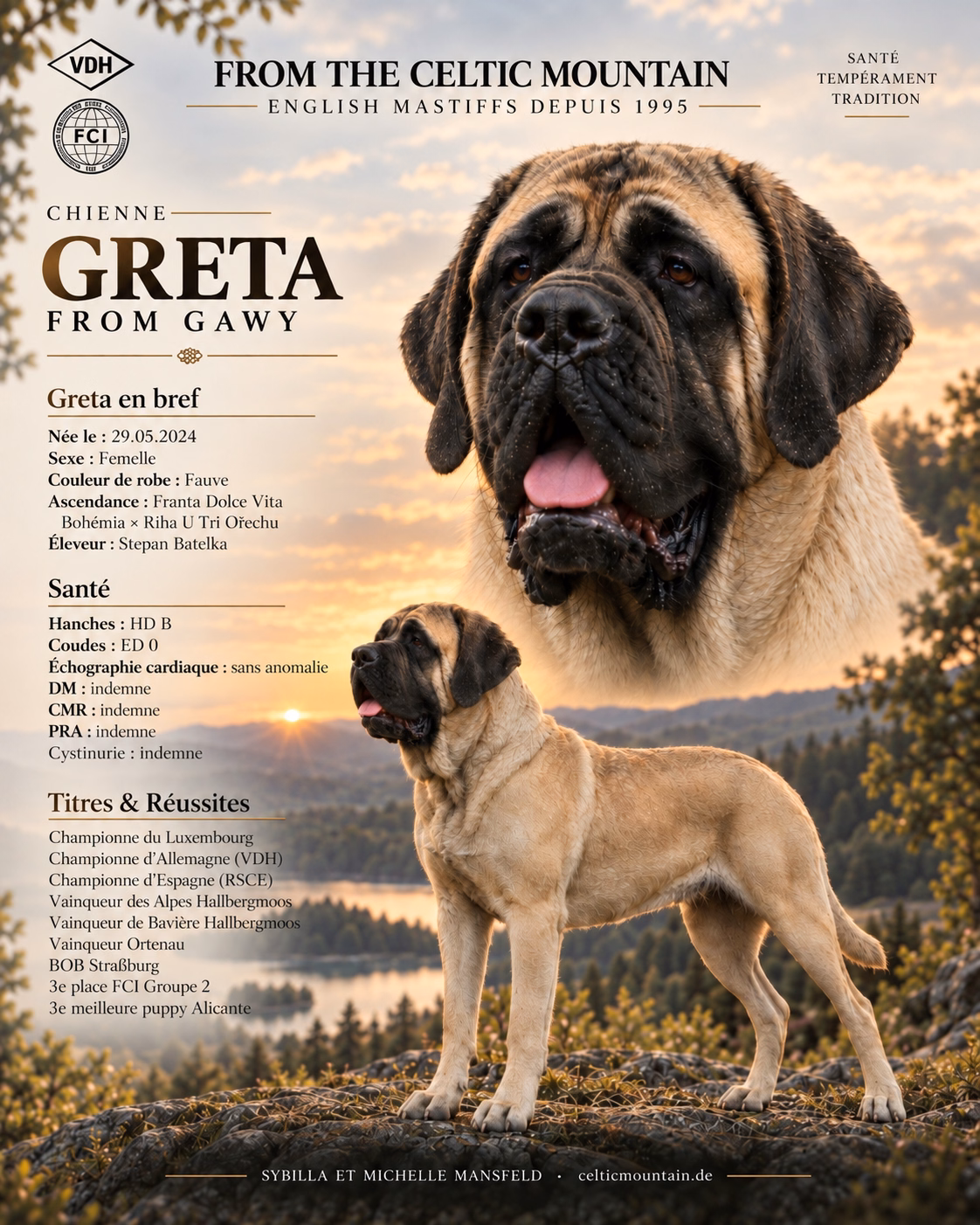 Profil de Greta from Gawy, femelle Mastiff fauve, avec ses résultats de santé, son pedigree et ses succès en exposition
