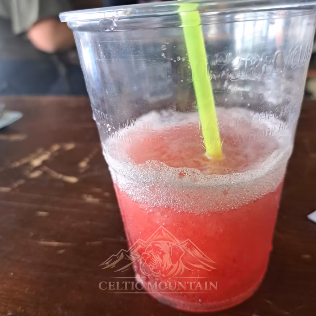 Becher mit rotem Slush als Erfrischung beim Mastifftreffen 2026