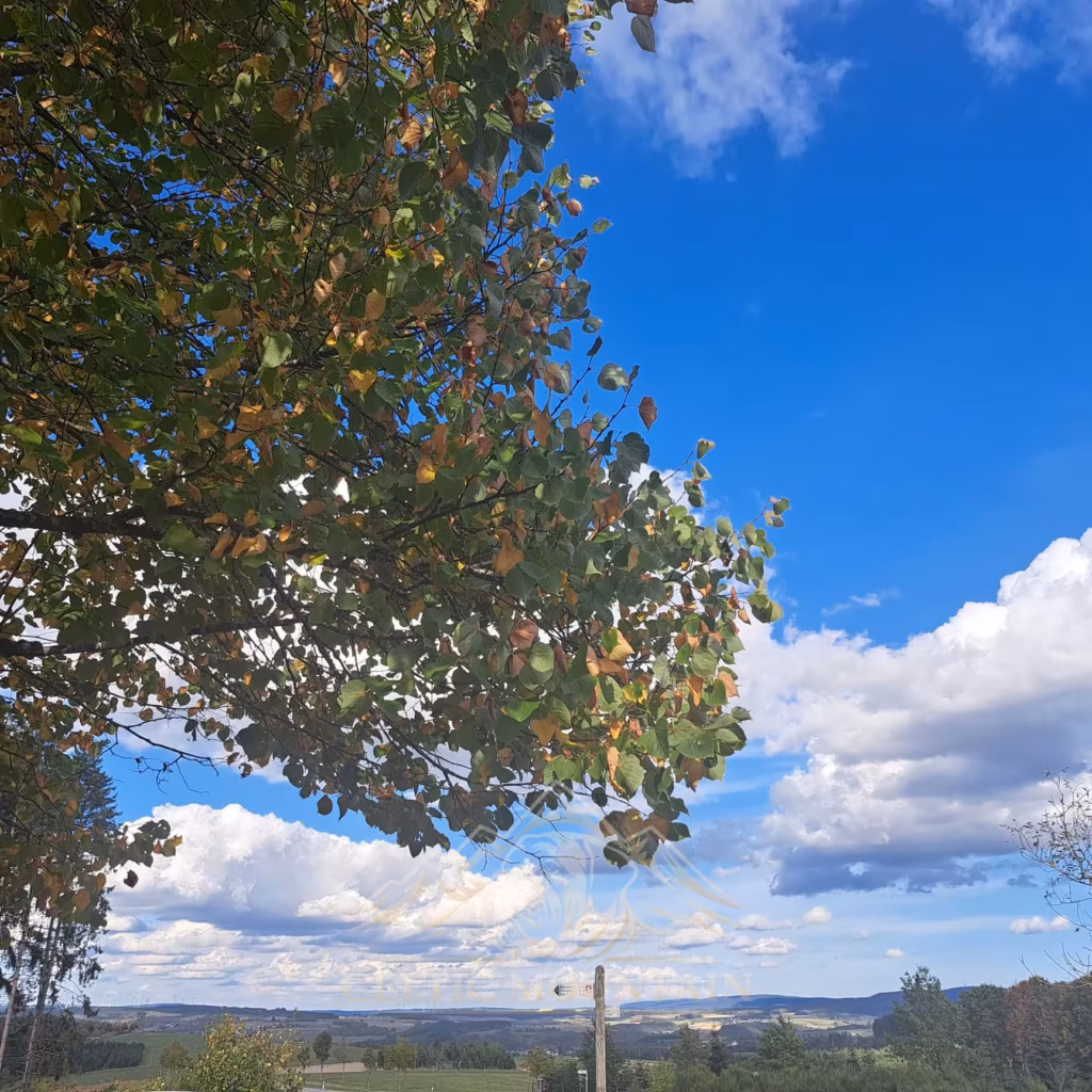 Landschaft bei Rascheid unter weitem Herbsthimmel während des Mastifftreffens