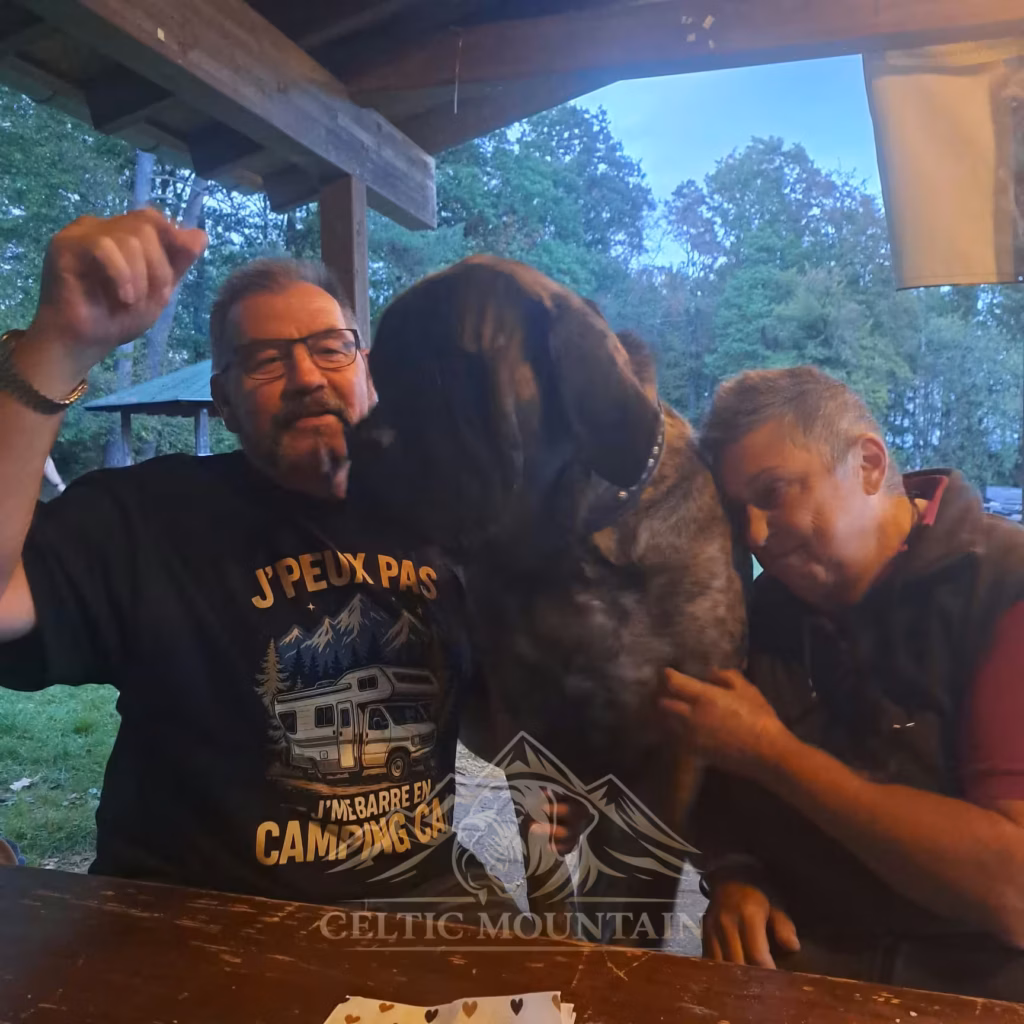 Besucher und ein Hund genießen eine Kuschelpause an einem Tisch