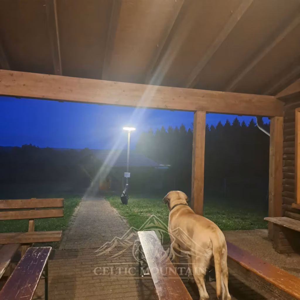 English Mastiff vor der beleuchteten Grillhütte in Rascheid am Abend