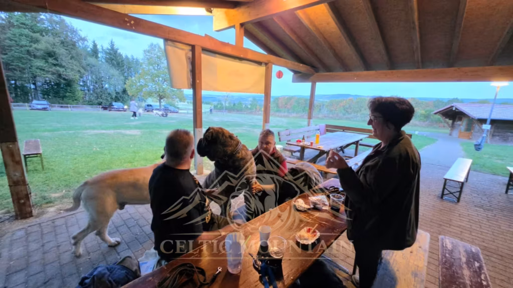 Mehrere Gäste stehen und sitzen am Tisch in der Grillhütte; ein gestromter und ein heller Mastiff sind bei ihnen.