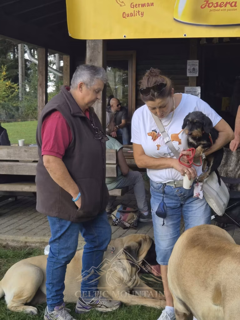 Ein Gast hält einen kleinen dunklen Hund auf dem Arm; daneben stehen ein weiterer Gast und mehrere Mastiffs.