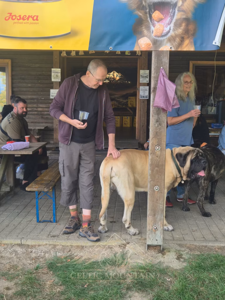 Zwei Gäste stehen mit hellen Mastiffs an einem Holzpfosten vor der Grillhütte.