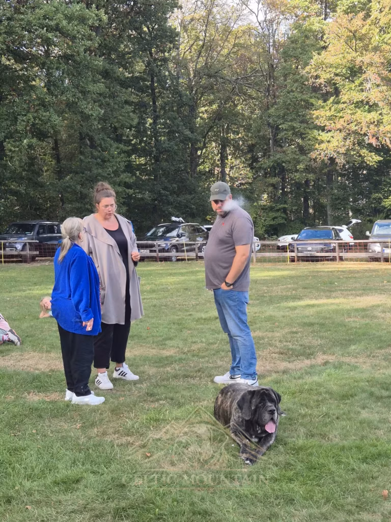 Drei Gäste unterhalten sich auf der Wiese, während ein gestromter Mastiff bei ihnen steht.