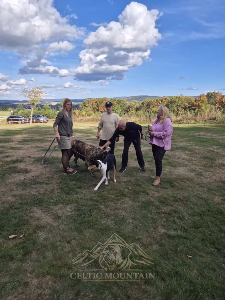 Ein Gast beugt sich zu einem kleinen schwarz-weißen Hund; daneben stehen weitere Gäste und ein Mastiff.
