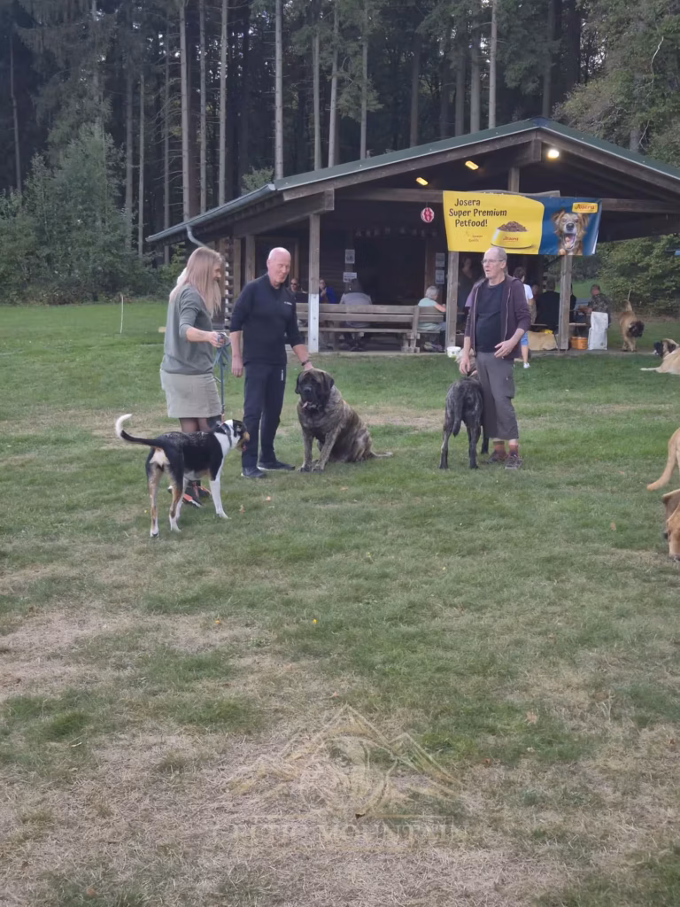 Drei Gäste stehen mit mehreren Hunden auf der Wiese vor der Grillhütte.