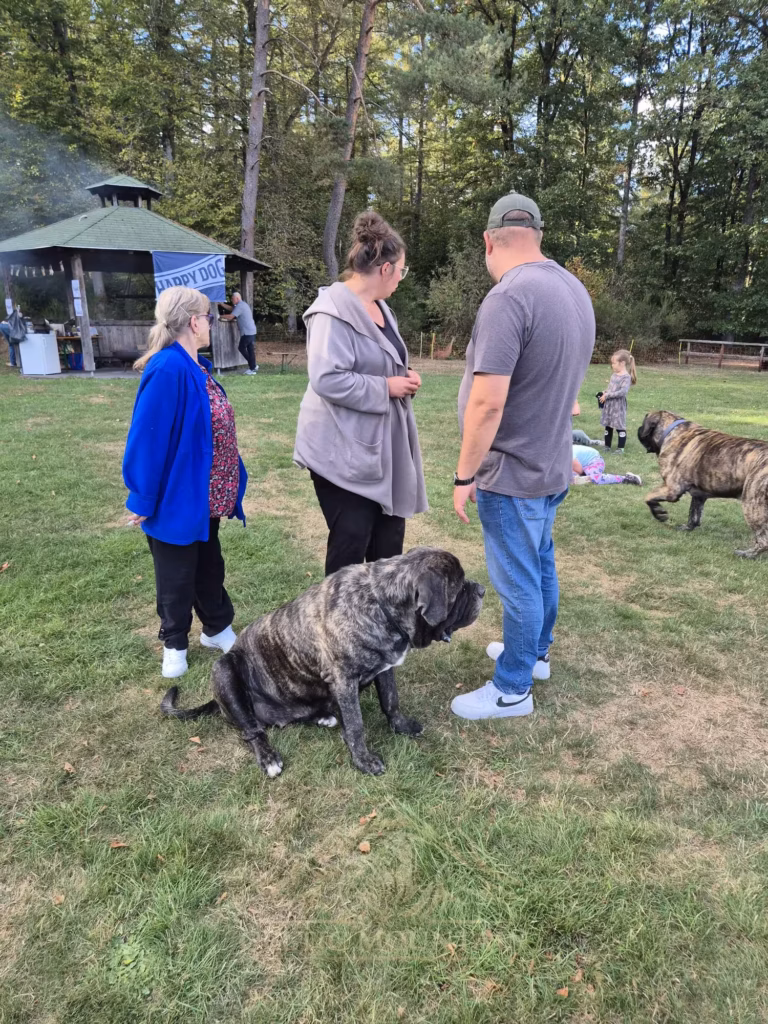 Drei Gäste sprechen auf der Wiese miteinander; ein gestromter Mastiff steht zwischen ihnen.
