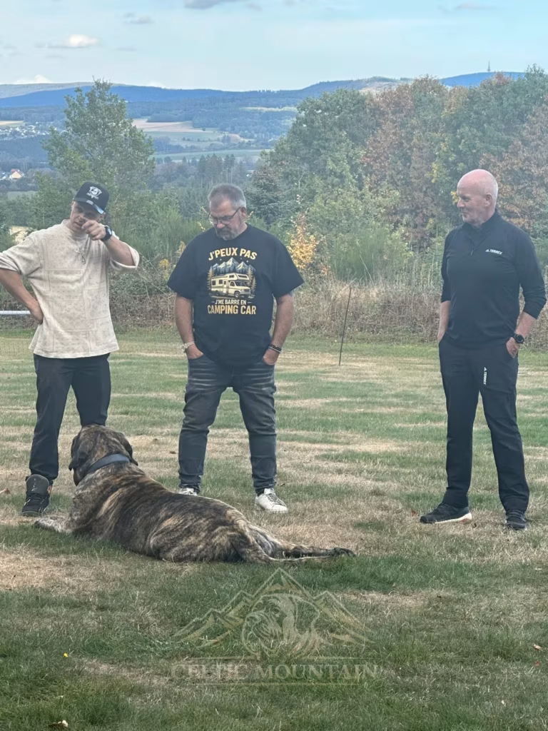 Drei Gäste stehen vor weitem Landschaftsblick; ein gestromter Mastiff liegt zu ihren Füßen.