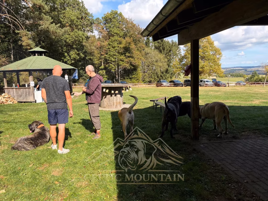 Zwei Gäste sprechen auf der Wiese neben der Grillhütte; mehrere Mastiffs stehen oder liegen bei ihnen.