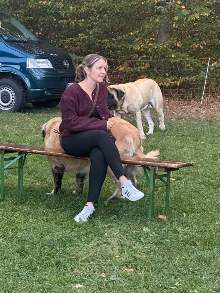 Ein Gast sitzt auf einer Holzbank; ein rotbrauner Mastiff liegt daneben, ein heller Hund steht dahinter.