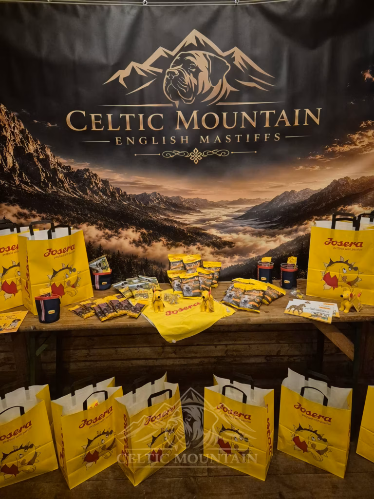 Geschenktüten und Hundeprodukte stehen unter einem Celtic-Mountain-Banner auf einem Tisch.