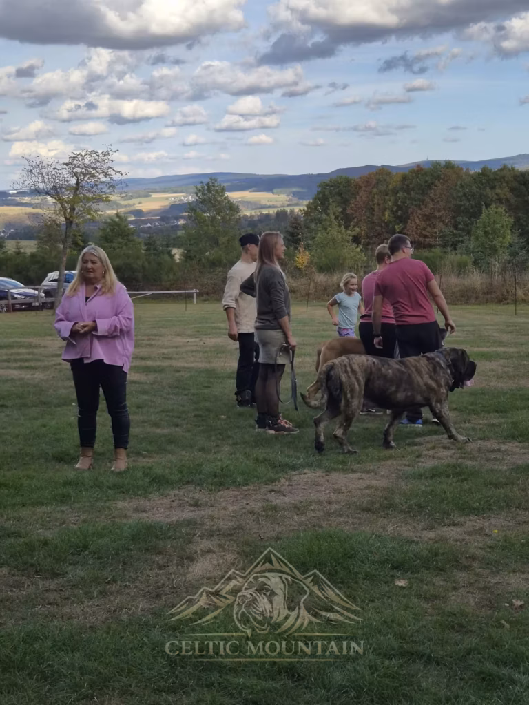 Mehrere Gäste stehen mit Hunden auf der Wiese; dahinter sind herbstliche Bäume und Hügel zu sehen.
