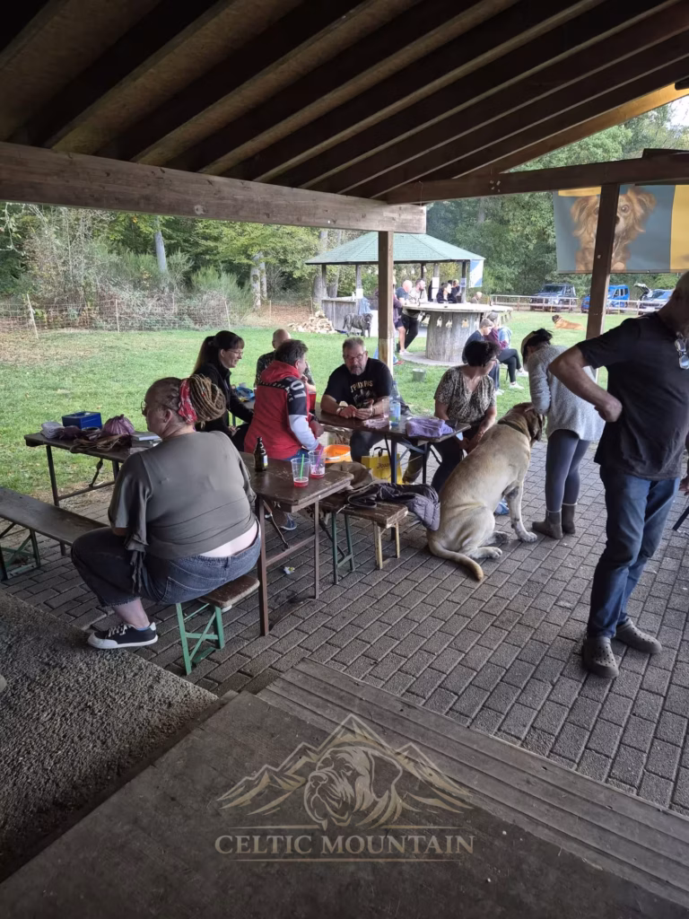 Gäste sitzen an Biertischen in der Grillhütte; ein heller Mastiff steht neben der Bank.
