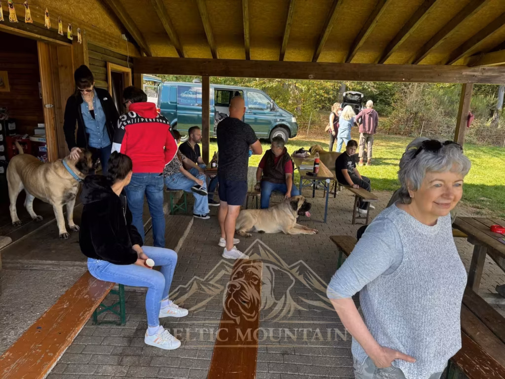 Gäste stehen und sitzen zwischen den Biertischen der Grillhütte; mehrere Mastiffs sind bei ihnen.