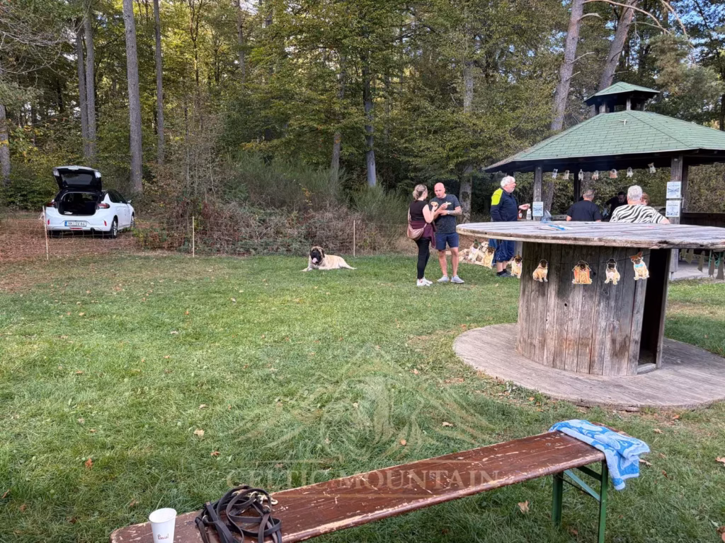 Ein großer runder Holztisch steht vor dem Pavillon; daneben sind Gäste und ruhende Hunde auf der Wiese.