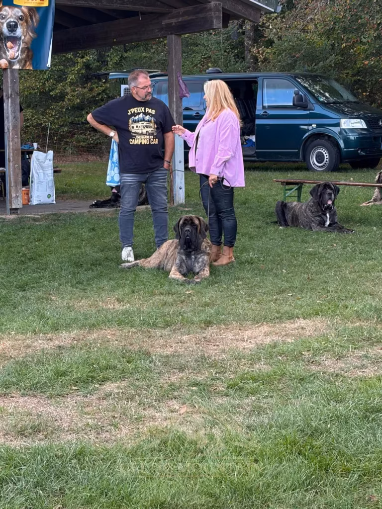 Zwei Gäste sprechen vor einem blauen Kleinbus miteinander; gestromte Mastiffs liegen bei ihnen im Gras.