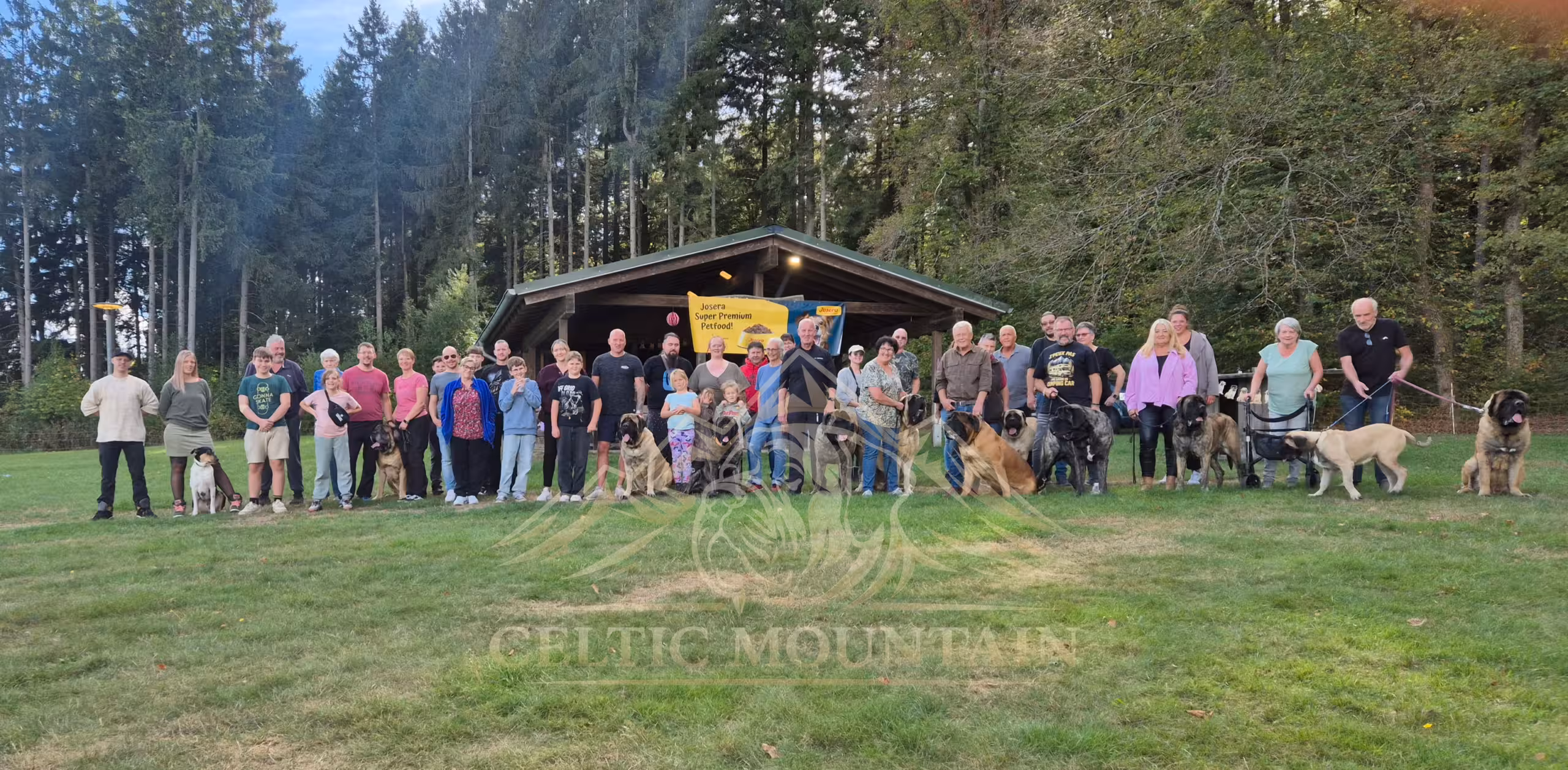 Guests at the Mastiff meetup stand with many English Mastiffs in a long row in front of the barbecue hut.