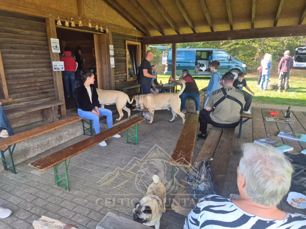 Gäste sitzen auf Holzbänken in der offenen Grillhütte; mehrere Mastiffs stehen zwischen ihnen.