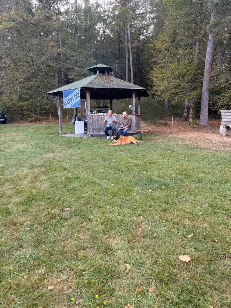 Zwei Gäste sitzen vor dem Holzpavillon; ein heller Mastiff liegt vor ihnen auf der Wiese.